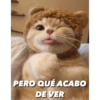 Gatitos tiernos✨ 10