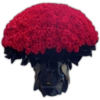 Ramo Buchón 5
