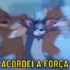 ACORDEI A FORÇA