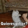 Quieres piliar?