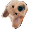 Perritos mal recortados 16