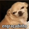 DOGS REAGEM 🥰🐶 10
