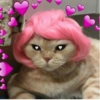 Memes pa’ Enviar Amorcito 💝 13