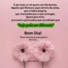 Figurinhas bom dia 15