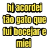 hj acordei tão gato que fui bocejare miei