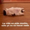 La vida no pide mucho,
solo yo no se hacer nada