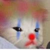 Memes 🤡 25