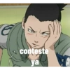 Animes 24