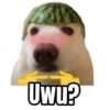 Uwu?