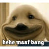 Kocheng&doge slebewww 5