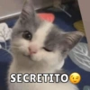 Dilo con Michis pt.6 🐱🤎 18