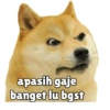 Kocheng&doge slebewww 13