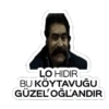Özgürabimiz 12