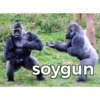 10
soygun