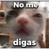 No me
digas