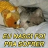 Memes/deboche 13