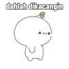 dahlah dikacangin
3