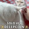 Dilo con Michis pt.6 🐱🤎 8