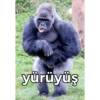 yürüyüş
