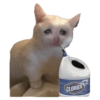 Sad Cats 7
