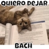 Michis de alba pt2  18