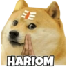 Dogesh & Cheemas 5