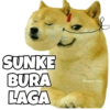 Dogesh & Cheemas 13