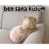ben sana küsüm