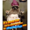 🐼🗑🦝 Raccoons l 🦝 🗑 🐼  8