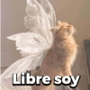 Libre soy