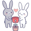 Lovely rabbit 26