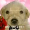 MEMES DE TWITTER 2 15