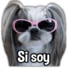 Si soy