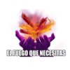 TAKIS FUEGO 9