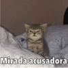 Mirada acusadora