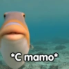 *C mamo*