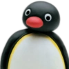 Pingu 🐧 O&M 6