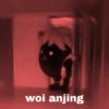 woi anjing