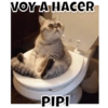 VOY A HACER
PIPI