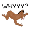 WHYYY?