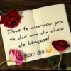 Figurinhas bom dia 9