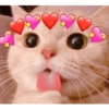 Indiretas pro crush 🥰 14