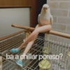 XKY
ba a chillar poreso?