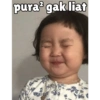 pura² gak liat