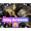 Molly Manualidades 7