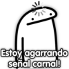 😎Memes Flork🤡 6