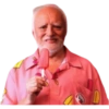 MEMES HAROLD THE PAIN 24