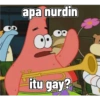 apa nurdin
FO
OP
itu gay?