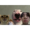 Kpop 29