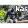 kas